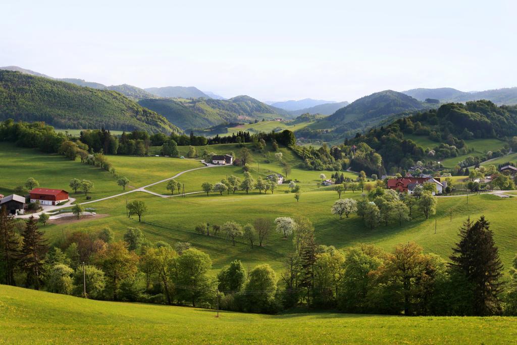 アパートメント ネポムク Kirchberg an der Pielach エクステリア 写真